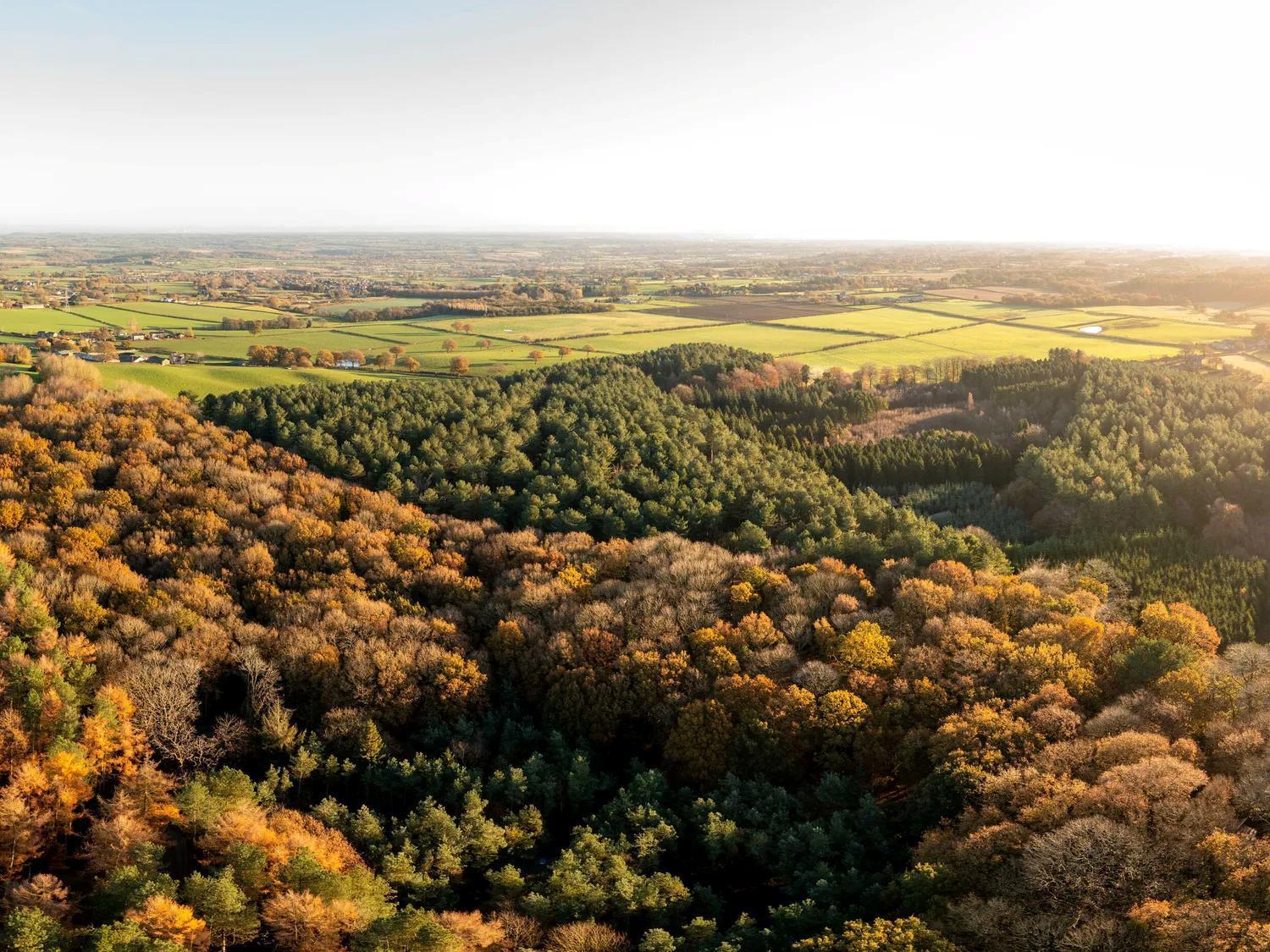 Mouldsworth Delamere Forest Cabins - Forest Holidays מראה חיצוני תמונה