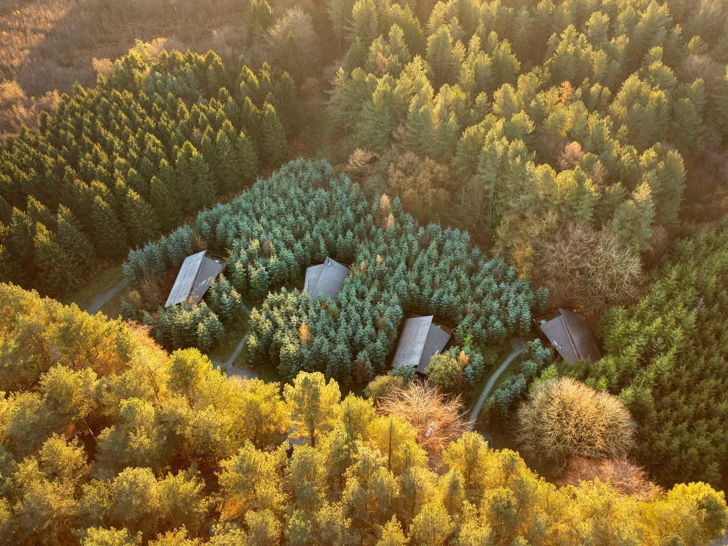 Mouldsworth Delamere Forest Cabins - Forest Holidays מראה חיצוני תמונה