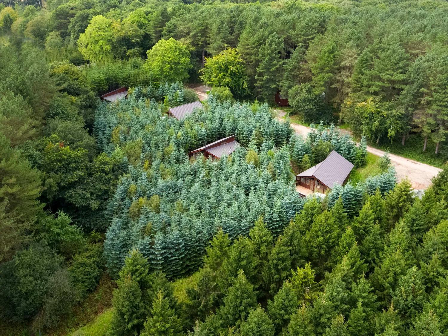 Mouldsworth Delamere Forest Cabins - Forest Holidays מראה חיצוני תמונה